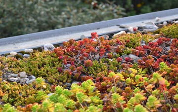 the cost of Lime Side green roof installation